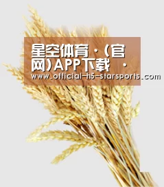 星空体育·(官网)APP下载 · 体育赛事